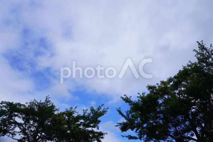 自然の風景 自然,平尾台,風景の写真素材