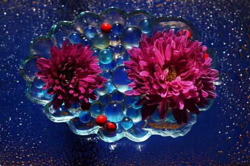 イメージフオト　SAKURA　4の写真