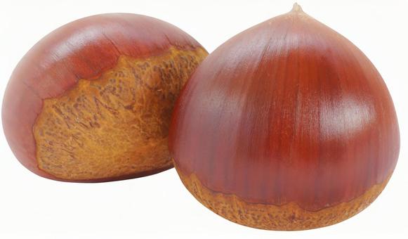 Chestnut (PSD has transparent background and cutout path), JPG Chestnut (PSD has transparent background and cutout path), chestnut, autumn, clipping, JPG