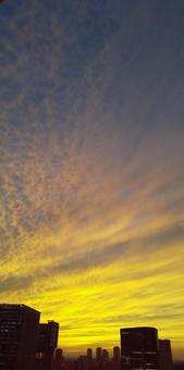 秋の夕暮れ 黄金色(芝浦付近 神無月) 秋の夕暮れ 黄金色(芝浦付近 神無月)の写真