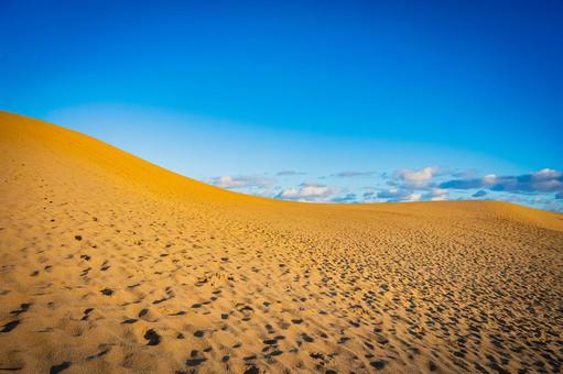 鳥取県　鳥取砂丘の風景 鳥取砂丘,日本の風景,自然の写真素材