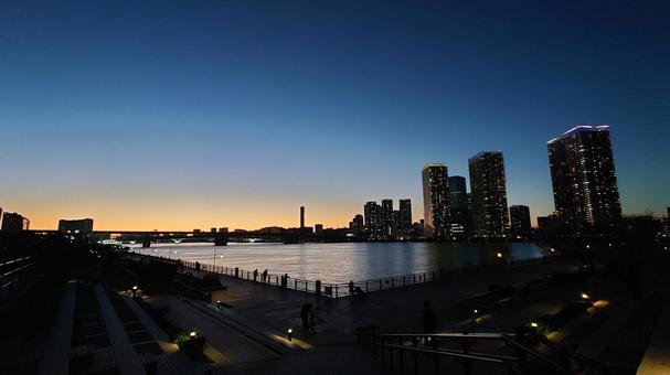 豊洲公園の夜 夜景,豊洲,水の写真素材