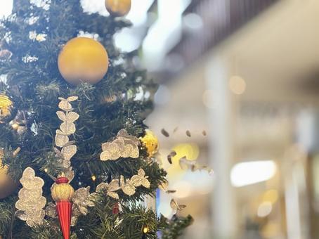 クリスマスツリー クリスマス,クリスマスツリー,ツリーの写真素材