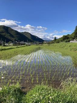 青い空と田園風景 青い空と田園風景の写真