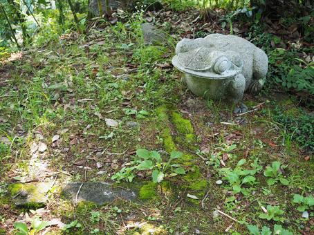 遊歩道のカエル 遊歩道のカエルの写真