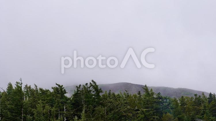 富士山五合目の奥庭自然公園から見える風景 奥庭自然公園,富士山,五合目の写真素材