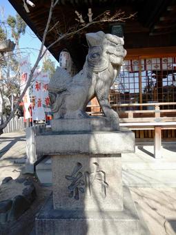白山神社 大阪 狛犬 白山神社 大阪 狛犬 白山神社,狛犬,大阪の写真素材