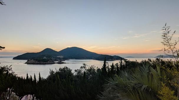 島 島,海,葉の写真素材