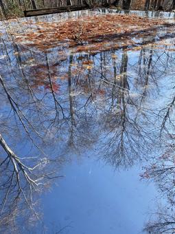 紅葉の空気神社写り込み 紅葉の空気神社写り込みの写真