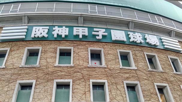 甲子園球場 阪神甲子園球場,野球,外観の写真素材