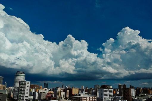 夏の雲 夏の雲の写真