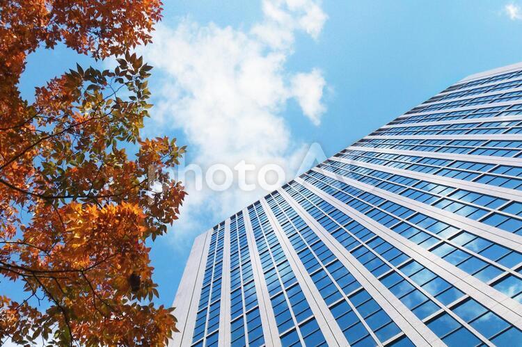 青空と紅葉と高層ビル 高層ビル,オフィスビル,タワービルの写真素材