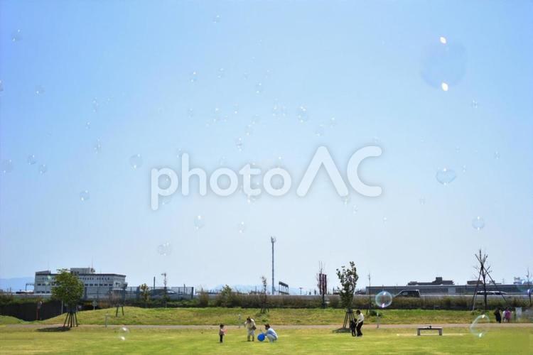 青空に浮かぶしゃぼん玉 しゃぼん玉,シャボン玉,公園の写真素材