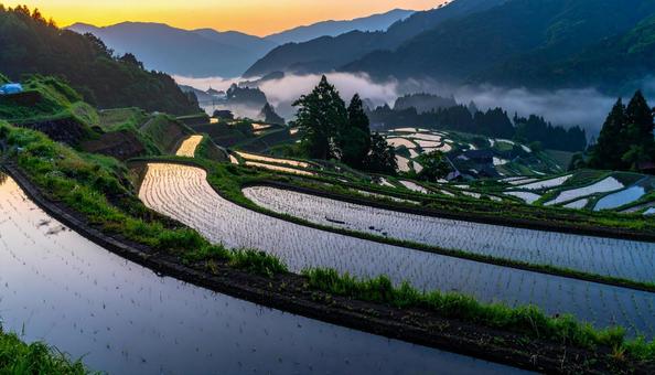 棚田・日本の原風景の写真