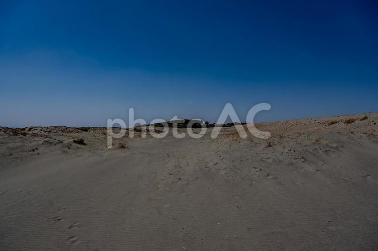 中田島砂丘 中田島砂丘,砂,青空の写真素材