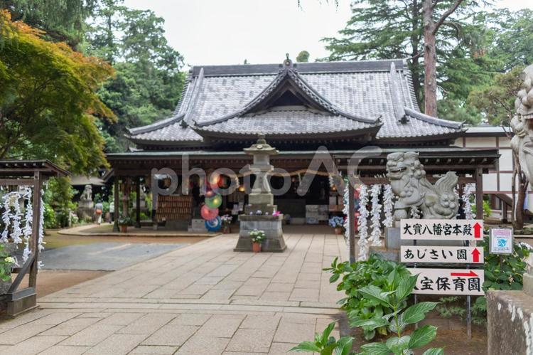 茨城下妻の大宝八幡宮本殿 大宝八幡宮,本殿,参道の写真素材