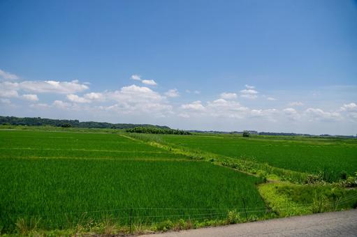 田園風景 田園風景 田園風景,田舎,田舎暮らしの写真素材