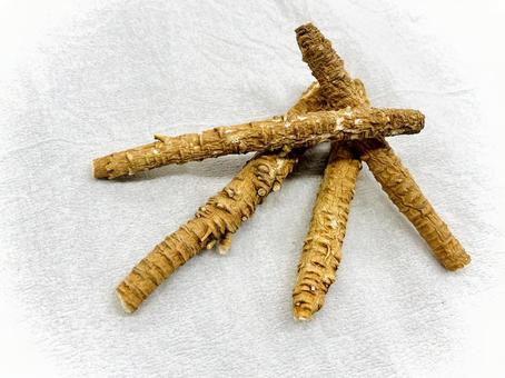 生薬・浜防風 壱 生薬・浜防風 壱 浜防風,ハマボウフウ,北沙参の写真素材