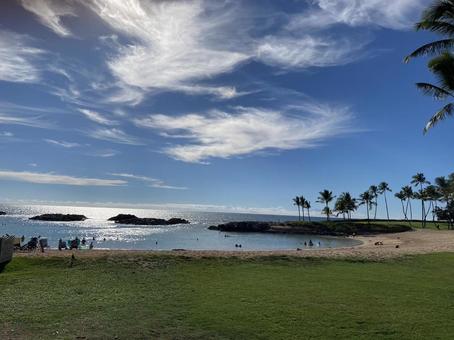 南国の海C 南国の海Cの写真