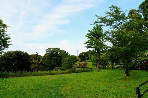 公園の緑の風景 公園の緑の風景 公園,雲,芝生の写真素材
