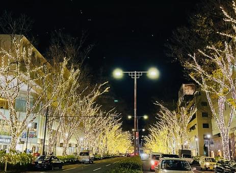 表参道 表参道の写真