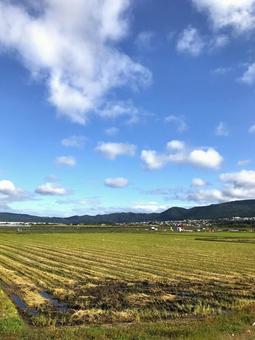 秋の空と田園地帯 秋の空と田園地帯 田園,田舎,青空の写真素材