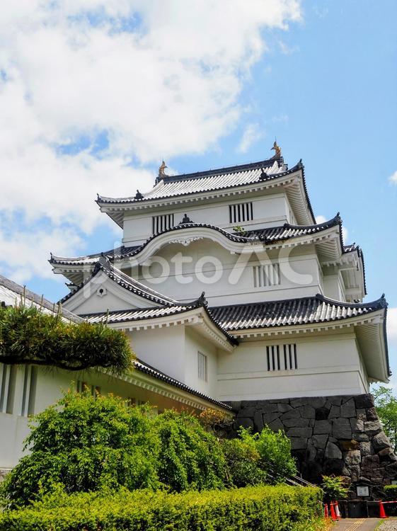 初夏の大多喜城・天守閣と新緑の木・千葉県 初夏,大多喜城,新緑の写真素材