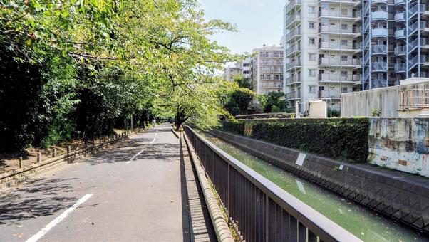 初秋の仙台堀川・運河&街並み(江東区) 初秋の仙台堀川・運河&街並み(江東区) 初秋,仙台堀川,江東区の写真素材