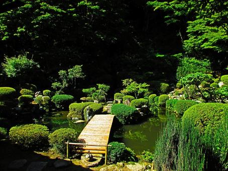 島根県-永明寺-禅庭 島根県-永明寺-禅庭 永明寺,寺,覚皇山の写真素材