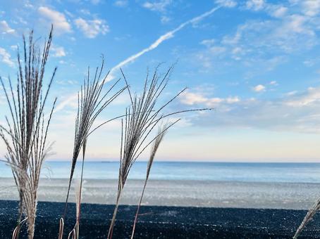 海岸　岸辺　海と空　堤防 海岸,沿岸,海の写真素材