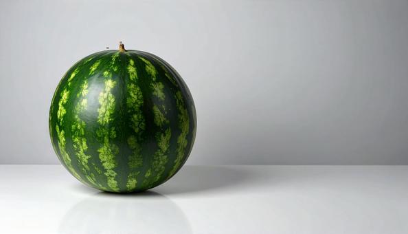 白い背景に一つのスイカ 白い背景に一つのスイカの写真
