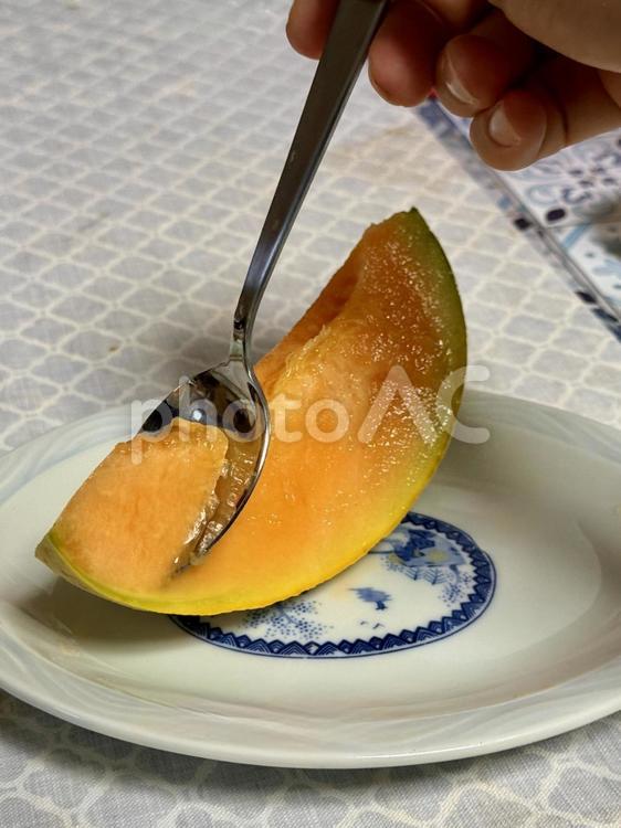 お中元の夕張メロンを食べる 夕張メロン,メロン,果物の写真素材