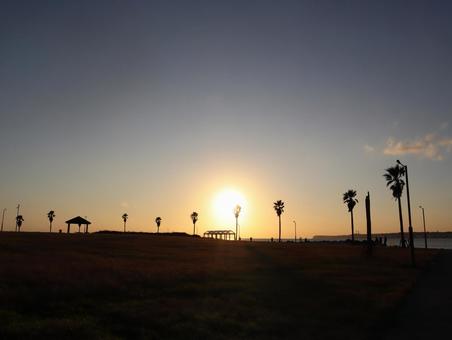 海辺の夕日 海辺の夕日 夕焼け,自然,空の写真素材