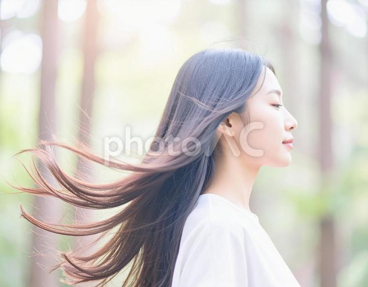 森林で癒される女性 女性,森,森林の写真素材