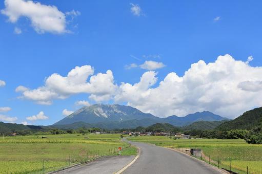 夏の貝田集落 4 夏の貝田集落 4 大山,貝田集落,棚田の写真素材