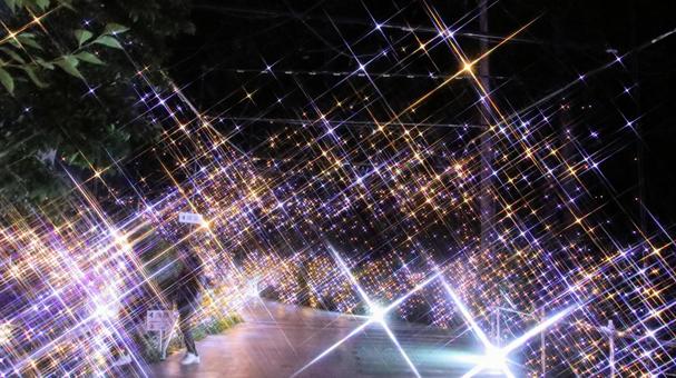 御殿場高原時之栖のイルミネーション イルミネーション,夜景,ライトアップの写真素材