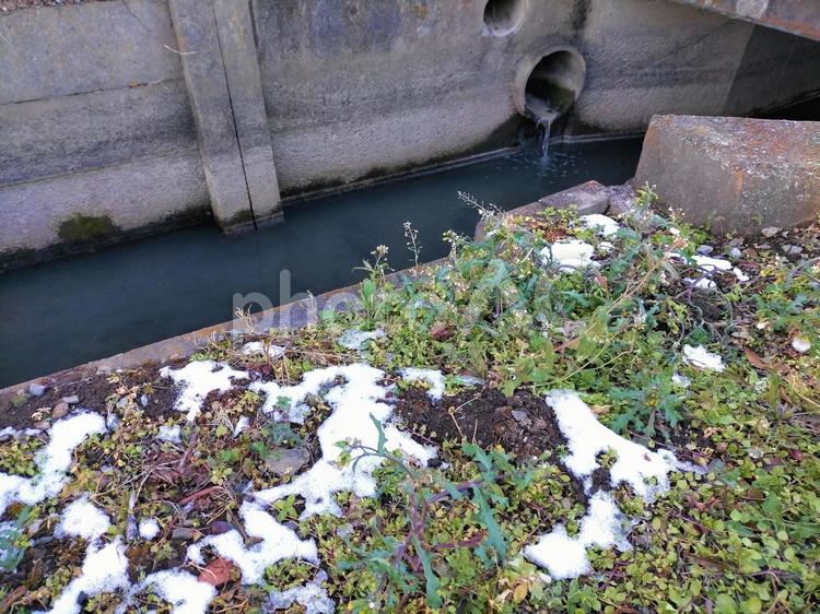 雪が残る水路脇の芝生 雪,風景,自然の写真素材