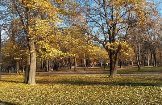公園 公園の写真