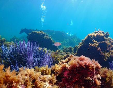 海の底の秘密 海の底の秘密の写真