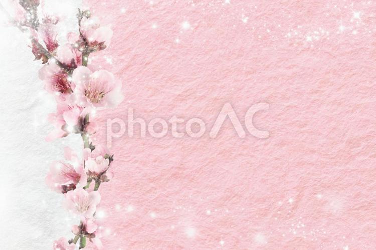 桜と和紙の美しい春フレーム 桜,春素材,可愛いの写真素材