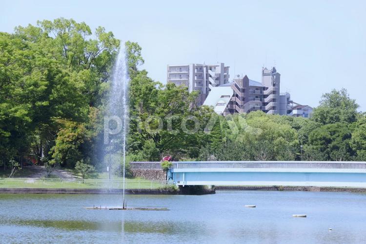 夏の暑い日の噴水（長居植物園）人物なし 夏,噴水,暑いの写真素材