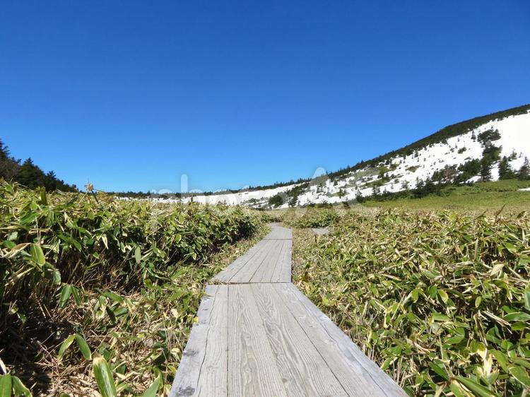山の木道 木道,遊歩道,アウトドアの写真素材