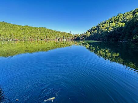 池　自然な池　秋の風景 風景,地方,奈良県吉野郡の写真素材