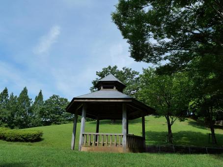 公園の緑 公園の緑の写真