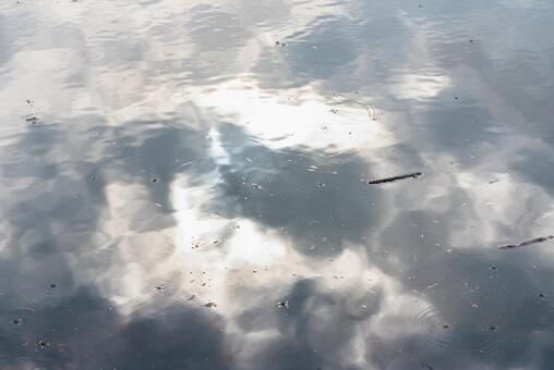 水面とアメンボと空 水面とアメンボと空の写真