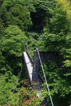 緑の中の吊り橋(奥多摩・もえぎ吊り橋) 緑の中の吊り橋(奥多摩・もえぎ吊り橋)の写真