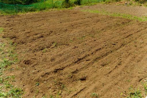 新しく野菜を植えるために耕された畑 新しく野菜を植えるために耕された畑の写真