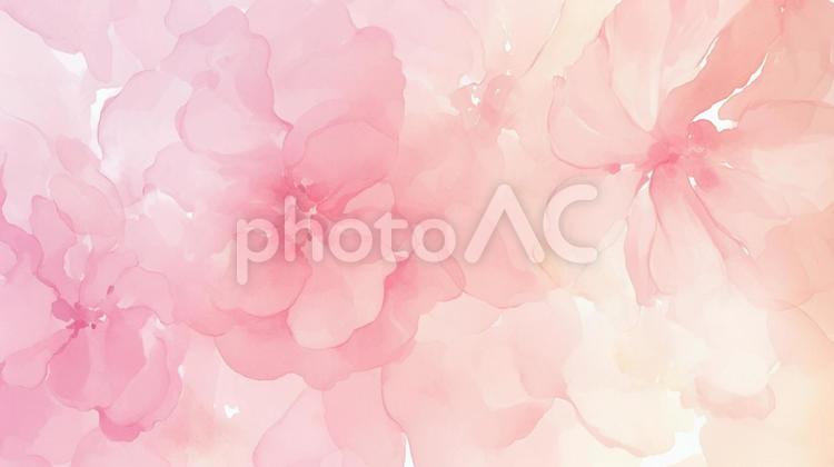 水彩の花模様背景 花,ピンク,水彩の写真素材