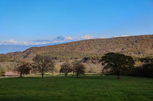 秋の牧場 牧場,草原,キャンプ場の写真素材