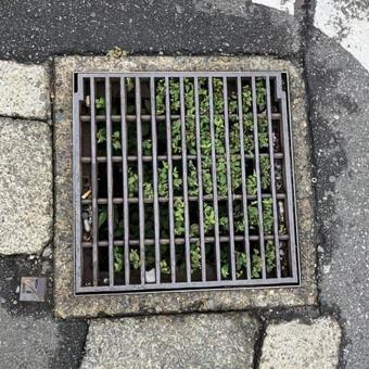 排水溝 排水溝の写真